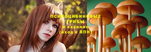 соль ск Аркадак