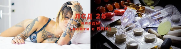 не бодяженный Арсеньев